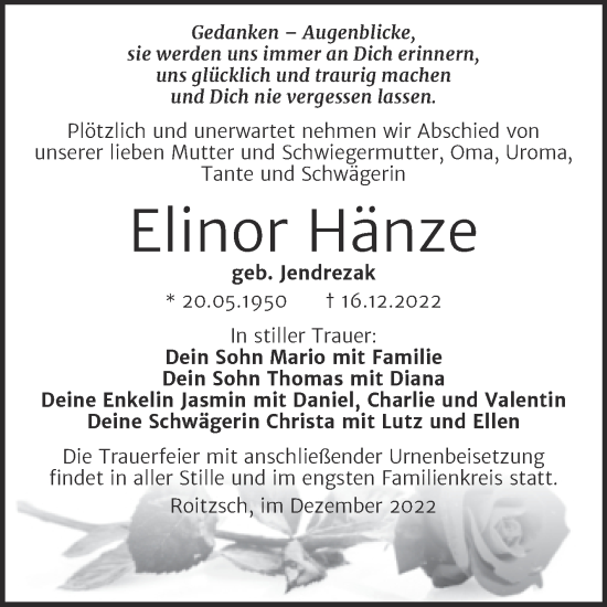 Traueranzeige von Elinor Hänze von Trauerkombi Bitterfeld