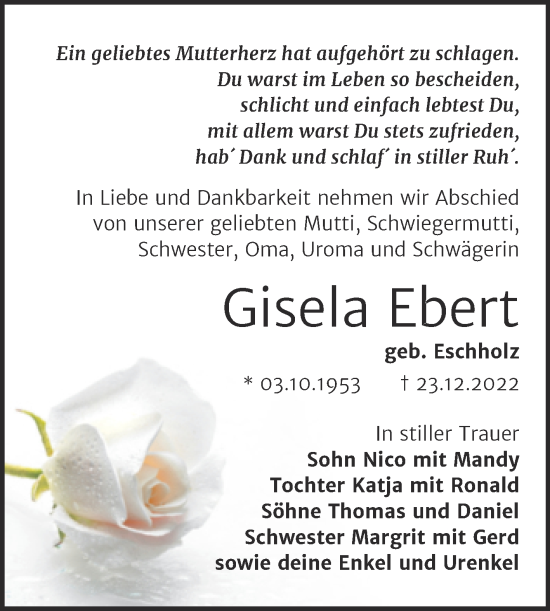 Traueranzeige von Gisela Ebert von Trauerkombi Weißenfels