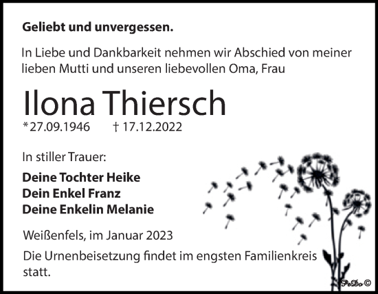 Traueranzeige von Ilona Thiersch von Trauerkombi Weißenfels