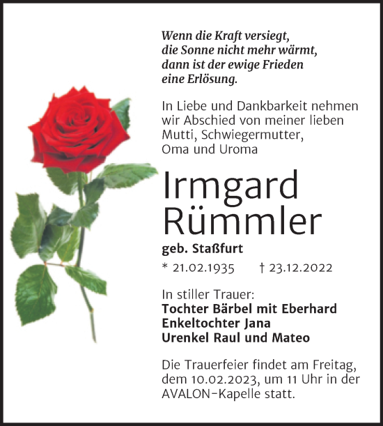 Traueranzeige von Irmgard Rümmler von Mitteldeutsche Zeitung Halle/Saalkreis