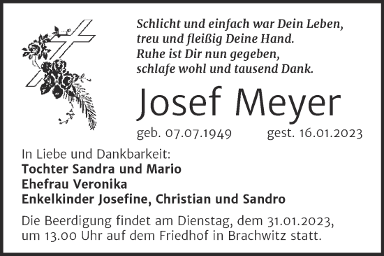 Traueranzeige von Josef Meyer von Mitteldeutsche Zeitung Halle/Saalkreis