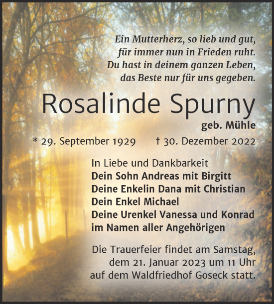 Traueranzeige von Rosalinde Spurny von Trauerkombi Weißenfels