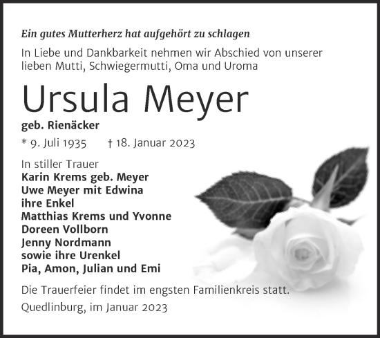 Traueranzeige von Ursula Meyer von Trauerkombi Quedlinburg