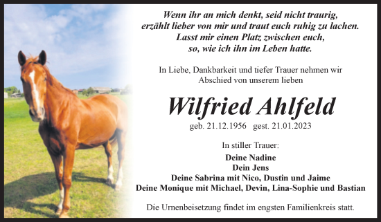 Traueranzeige von Wilfried Ahlfeld von Trauerkombi Quedlinburg