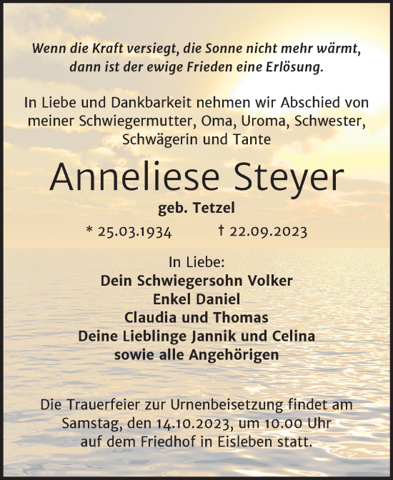Traueranzeige von Anneliese Steyer von Trauerkombi Mansfelder Land