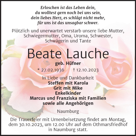 Traueranzeige von Beate Lauche von Wochenspiegel Naumburg/Nebra