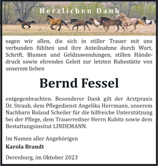 Traueranzeige von Bernd Fessel von Volksstimme Wernigerode