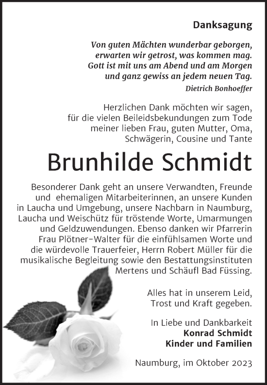 Traueranzeige von Brunhilde Schmidt von Wochenspiegel Naumburg/Nebra