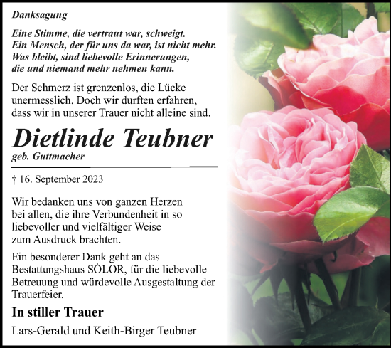 Traueranzeige von Dietlinde Teubner von Volksstimme Magdeburg