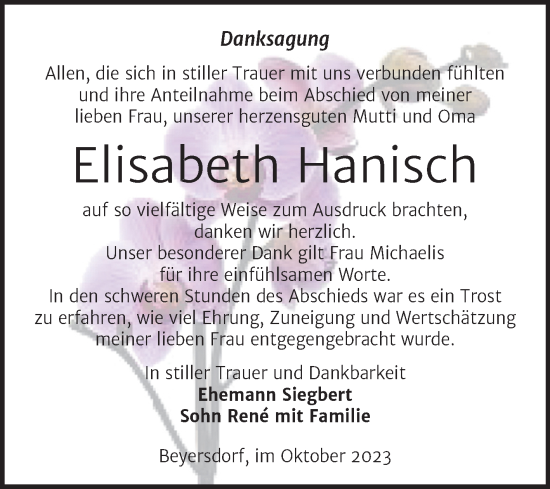 Traueranzeige von Elisabeth Hanisch von Trauerkombi Bitterfeld
