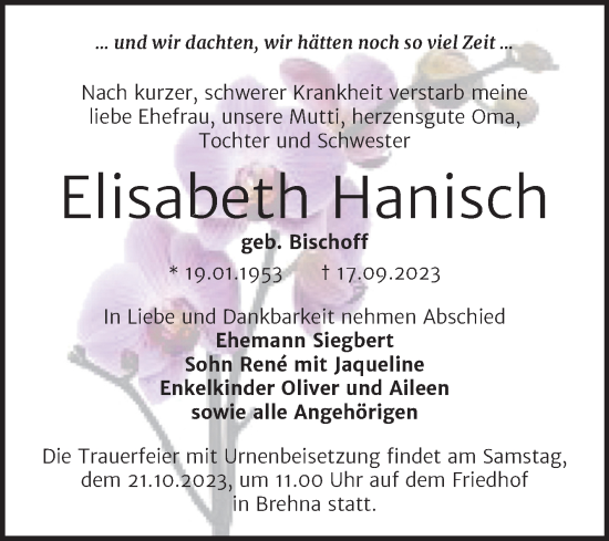Traueranzeige von Elisabeth Hanisch von Trauerkombi Bitterfeld