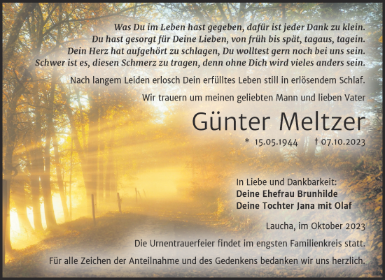 Traueranzeige von Günter Meltzer von Wochenspiegel Naumburg/Nebra