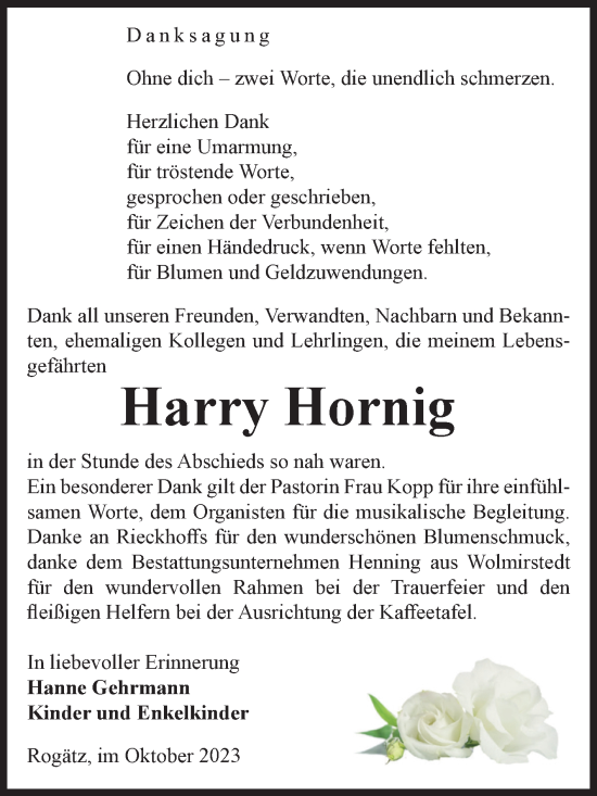 Traueranzeige von Harry Hornig von Volksstimme Haldensleben/Wolmirstedt
