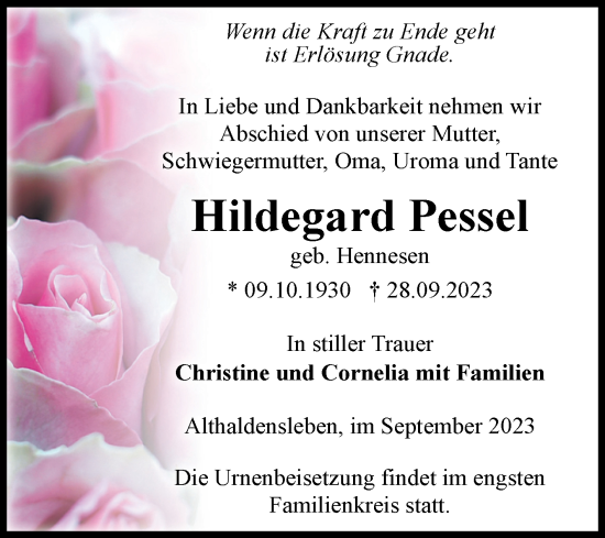 Traueranzeige von Hildegard Pessel von Volksstimme Haldensleben/Wolmirstedt