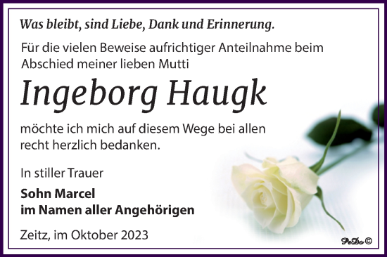 Traueranzeige von Ingeborg Haugk von Super Sonntag Zeitz