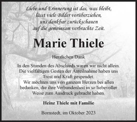 Traueranzeige von Marie Thiele von Volksstimme Haldensleben/Wolmirstedt