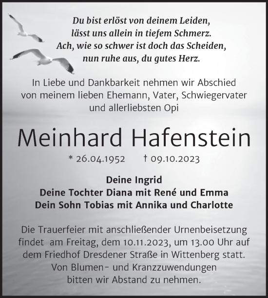 Traueranzeige von Meinhard Hafenstein von Trauerkombi Wittenberg