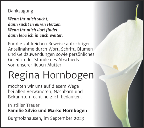 Traueranzeige von Regina Hornbogen von Wochenspiegel Naumburg/Nebra