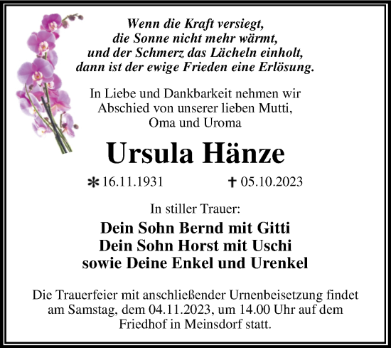 Traueranzeige von Ursula Hänze von Trauerkombi Dessau