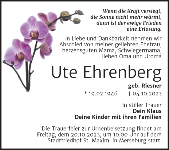 Traueranzeige von Ute Ehrenberg von Trauerkombi Merseburg