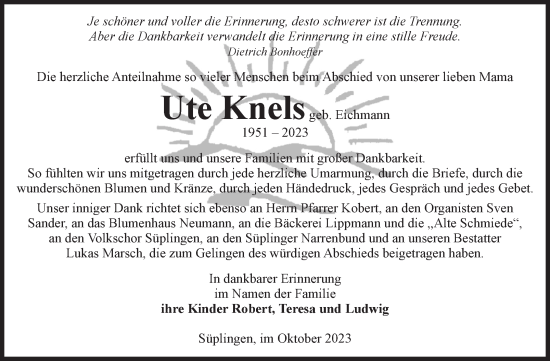 Traueranzeige von Ute Knels von Volksstimme Haldensleben/Wolmirstedt