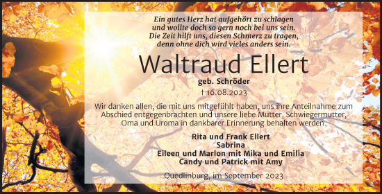 Traueranzeige von Waltraud Ellert von Trauerkombi Quedlinburg
