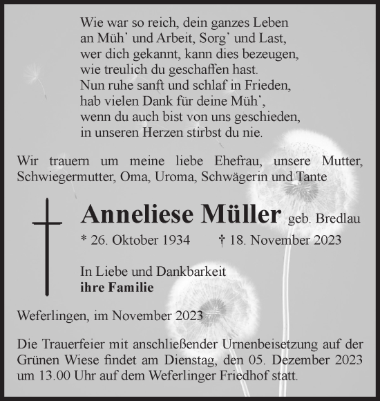 Traueranzeige von Anneliese Müller von Volksstimme Haldensleben/Wolmirstedt