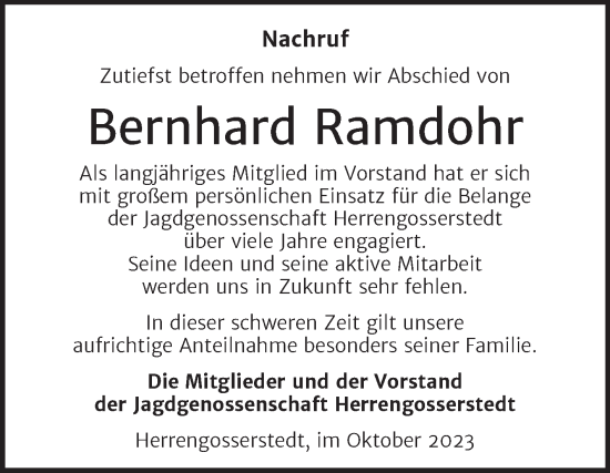 Traueranzeige von Bernhard Ramdohr von Wochenspiegel Naumburg/Nebra