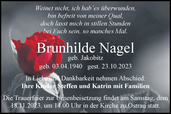 Traueranzeige von Brunhilde Nagel von Mitteldeutsche Zeitung Halle/Saalkreis