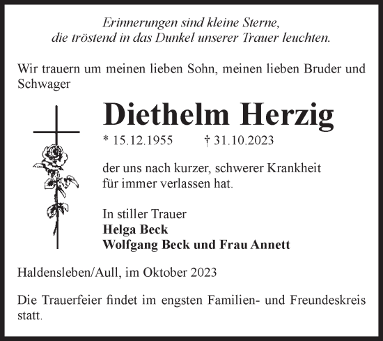 Traueranzeige von Diethelm Herzig von Volksstimme Haldensleben/Wolmirstedt