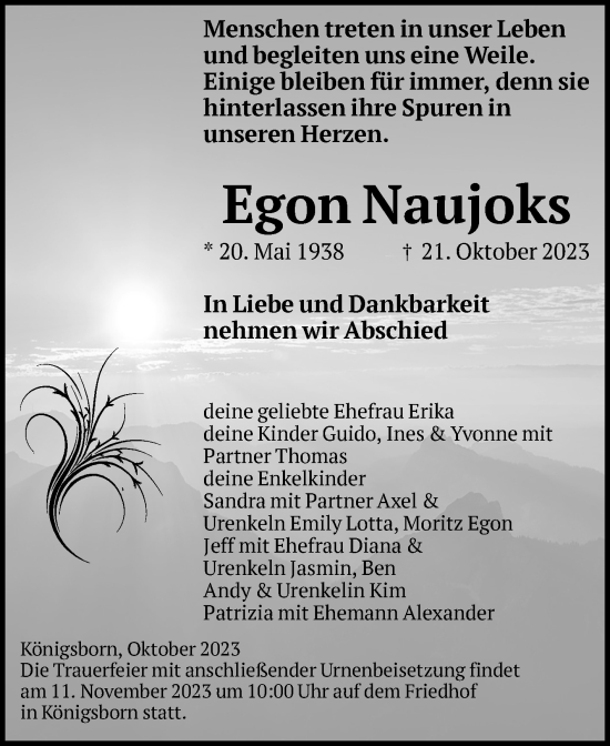 Traueranzeige von Egon Naujoks von Volksstimme Burg/Genthin