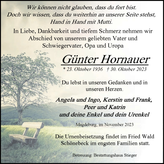 Traueranzeige von Günter Hornauer von Volksstimme Magdeburg