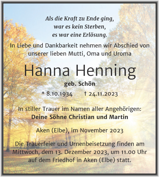 Traueranzeige von Hanna Henning von Trauerkombi Köthen