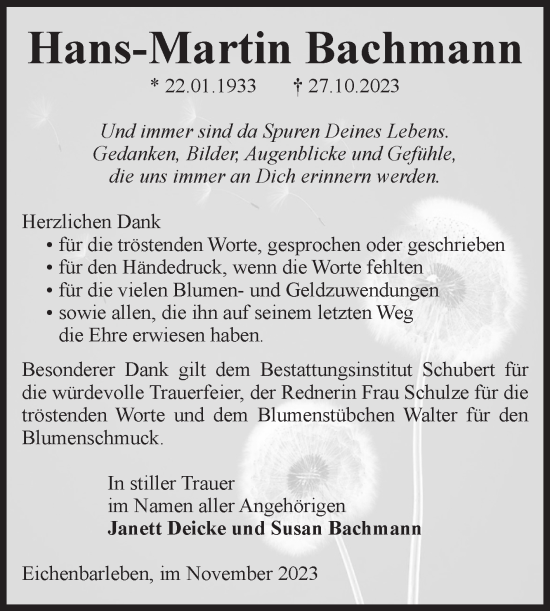 Traueranzeige von Hans-Martin Bachmann von Volksstimme Haldensleben/Wolmirstedt