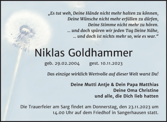 Traueranzeige von Niklas Goldhammer von Mitteldeutsche Zeitung Sangerhausen