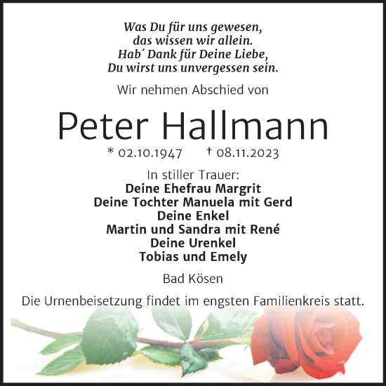 Traueranzeige von Peter Hallmann von Wochenspiegel Naumburg/Nebra