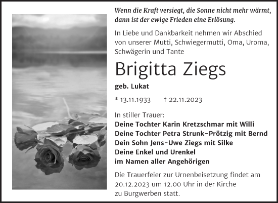 Traueranzeige von Brigitta Ziegs von Trauerkombi Weißenfels