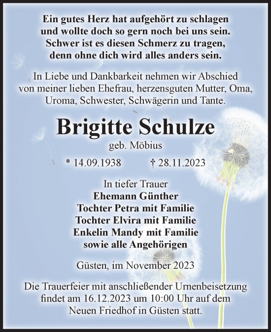 Traueranzeige von Brigitte Schulze von Volksstimme Staßfurt