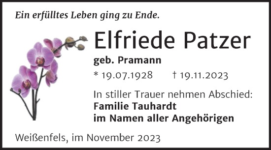 Traueranzeige von Elfriede Patzer von Trauerkombi Weißenfels