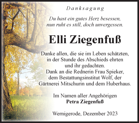 Traueranzeige von Elli Ziegenfuß von Volksstimme Wernigerode