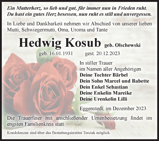 Traueranzeige von Hedwig Kosub von Volksstimme Oschersleben/Wanzleben