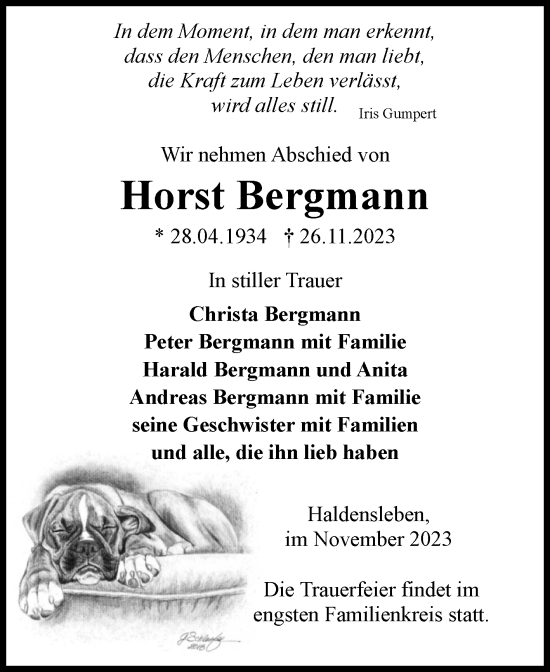 Traueranzeige von Horst Bergmann von Volksstimme Haldensleben/Wolmirstedt