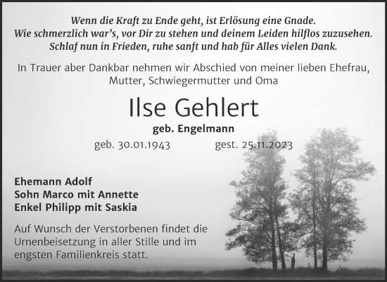 Traueranzeige von Ilse Gehlert von Trauerkombi Wittenberg