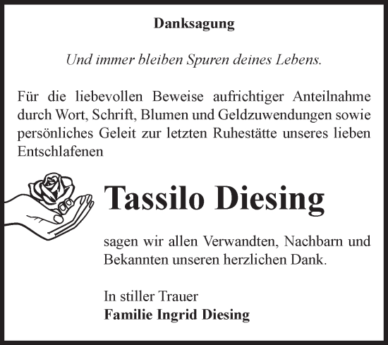 Traueranzeige von Tassilo Diesing von Volksstimme Haldensleben/Wolmirstedt