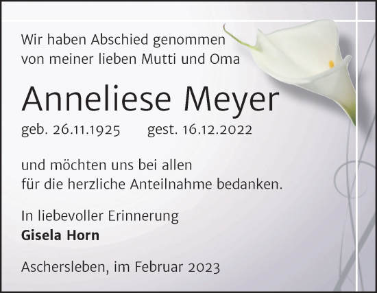 Traueranzeige von Anneliese Meyer von Trauerkombi Aschersleben