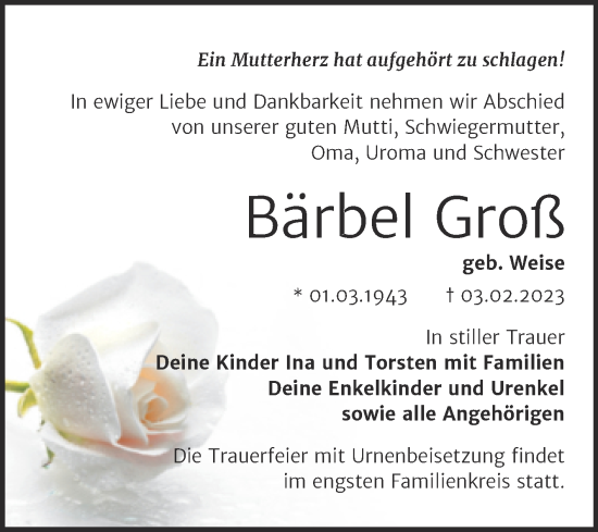 Traueranzeige von Bärbel Groß von Trauerkombi Bitterfeld