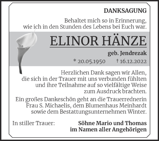 Traueranzeige von Elinor Hänze von Trauerkombi Bitterfeld