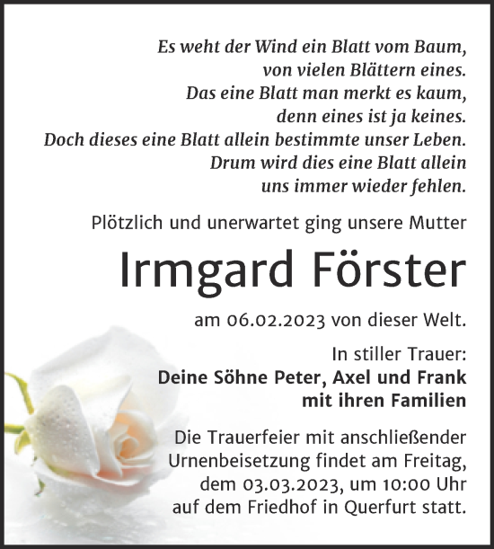 Traueranzeige von Irmgard Förster von Super Sonntag Merseburg/Querfurt