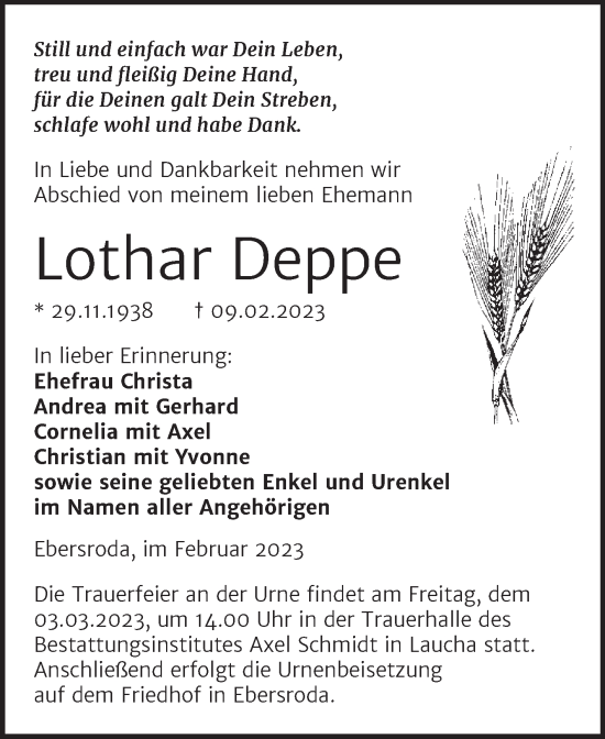 Traueranzeige von Lothar Deppe von Wochenspiegel Naumburg/Nebra