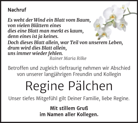 Traueranzeige von Regine Pälchen von Super Sonntag Zeitz
